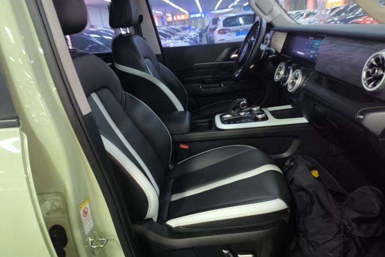 Used Tank 300 2021 City Edition 2.0T—Truly Stylish Right Front Seat