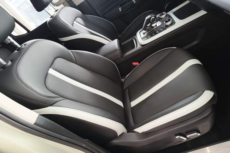 Used Tank 300 2021 City Edition 2.0T—Truly Stylish Right Front Seat