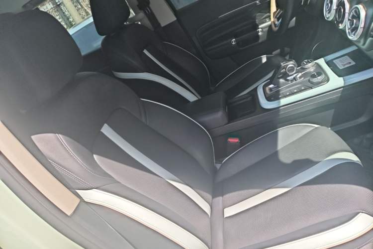 Used Tank 300 2021 City Edition 2.0T—Truly Stylish Right Front Seat