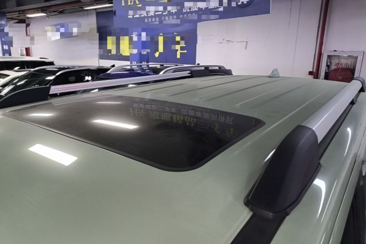Used Tank 300 2021 City Edition 2.0T—Truly Stylish Roof