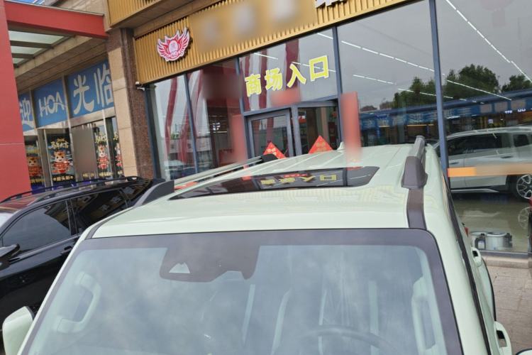 Used Tank 300 2021 City Edition 2.0T—Truly Stylish Roof