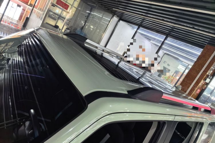 Used Tank 300 2021 City Edition 2.0T—Truly Stylish Roof