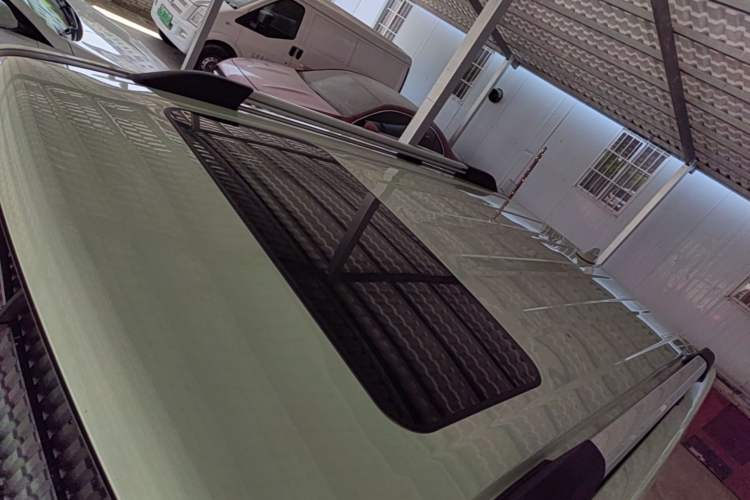 Used Tank 300 2021 City Edition 2.0T—Truly Stylish Roof