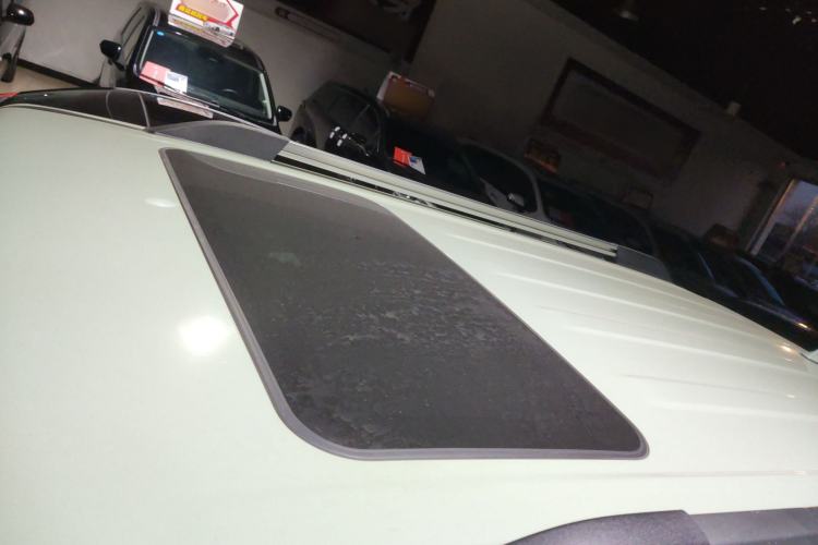 Used Tank 300 2021 City Edition 2.0T—Truly Stylish Roof