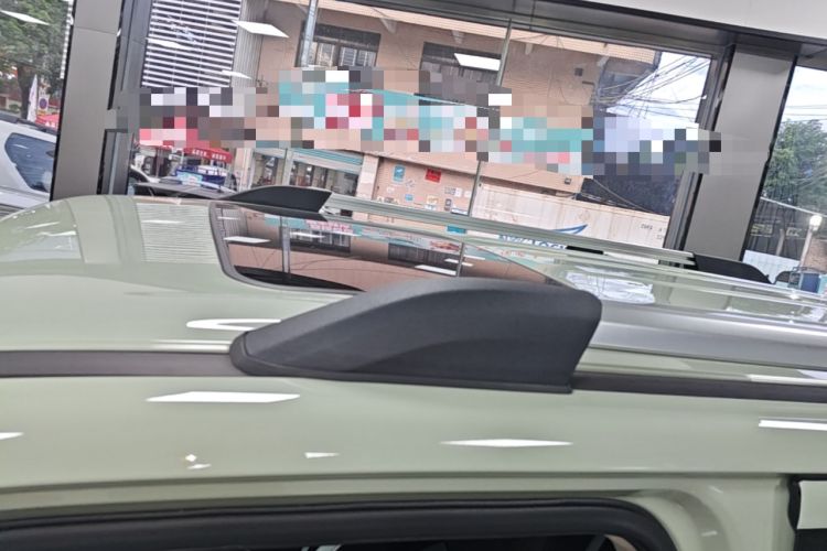 Used Tank 300 2021 City Edition 2.0T—Truly Stylish Roof