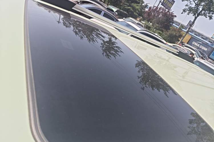 Used Tank 300 2021 City Edition 2.0T—Truly Stylish Roof