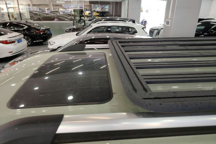 Used Tank 300 2021 City Edition 2.0T—Truly Stylish Roof