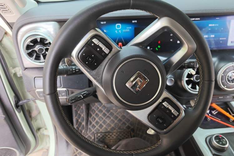 Used Tank 300 2021 City Edition 2.0T—Truly Stylish Steering Wheel