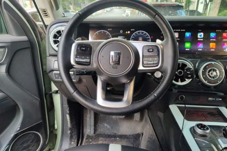 Used Tank 300 2021 City Edition 2.0T—Truly Stylish Steering Wheel