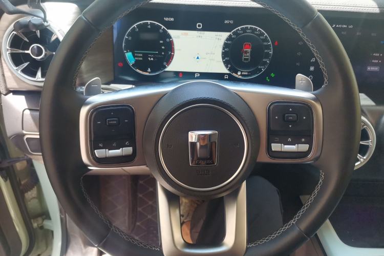 Used Tank 300 2021 City Edition 2.0T—Truly Stylish Steering Wheel