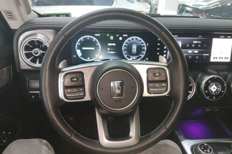 Used Tank 300 2021 City Edition 2.0T—Truly Stylish Steering Wheel