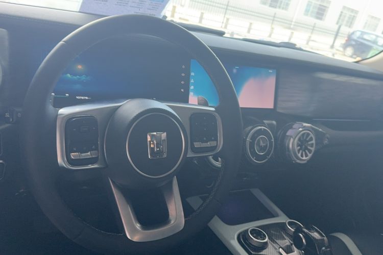 Used Tank 300 2021 City Edition 2.0T—Truly Stylish Steering Wheel