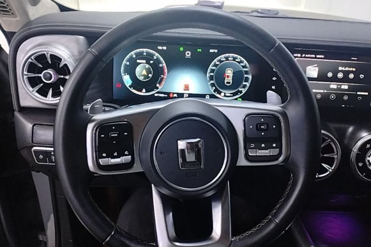 Used Tank 300 2021 Off-Road Edition 2.0T Challenger Steering Wheel
