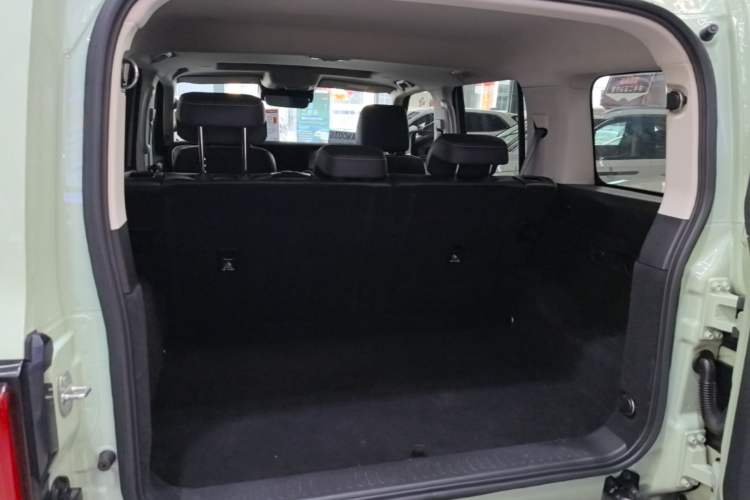 Used Tank 300 2021 City Edition 2.0T—Truly Stylish Trunk