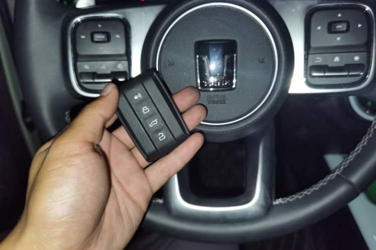 Used Tank 300 2021 City Edition 2.0T—Truly Stylish Vehicle Key