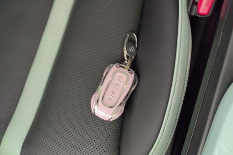 Used Tank 300 2021 City Edition 2.0T—Truly Stylish Vehicle Key
