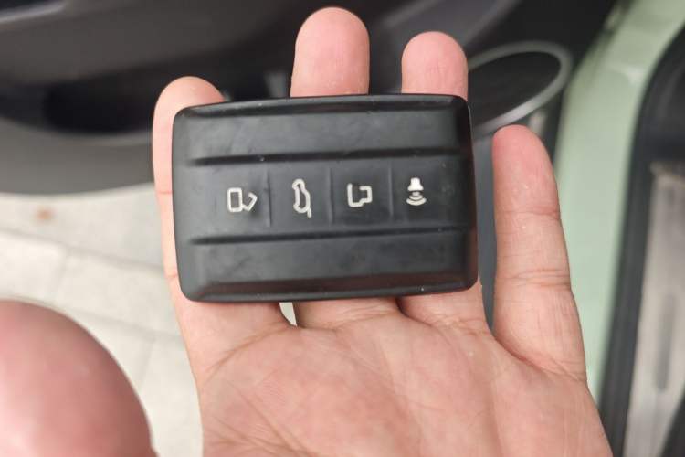 Used Tank 300 2021 City Edition 2.0T—Truly Stylish Vehicle Key