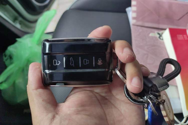 Used Tank 300 2021 City Edition 2.0T—Truly Stylish Vehicle Key