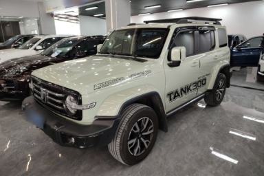 Used Tank 300 2021 City Edition 2.0T—Truly Stylish
