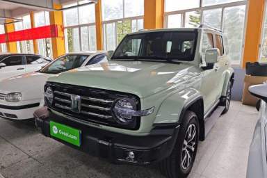 Used Tank 300 2021 City Edition 2.0T—Truly Stylish