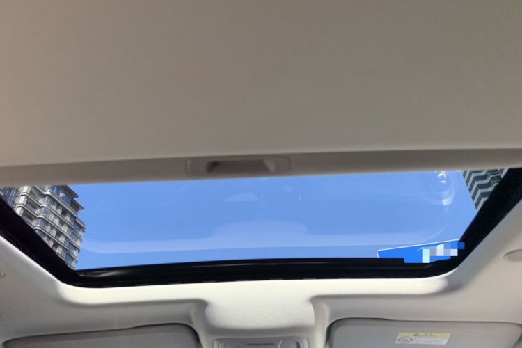 Used Tank 300 2021 City Edition 2.0T—Truly Stylish Headliner
