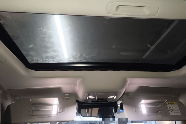 Used Tank 300 2021 City Edition 2.0T—Truly Stylish Headliner