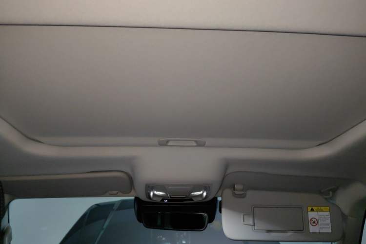 Used Tank 300 2021 City Edition 2.0T—Truly Stylish Headliner