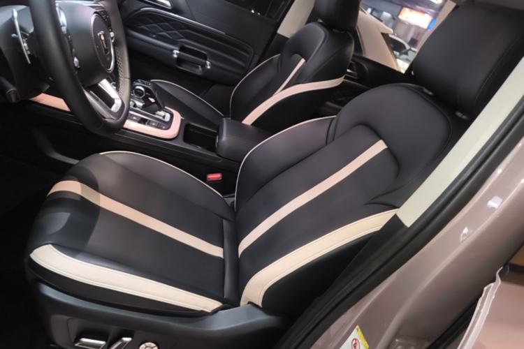 Used Tank 300 2021 City Edition 2.0T—Truly Stylish Left Front Seat