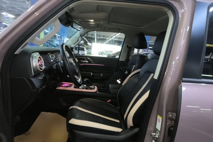 Used Tank 300 2021 City Edition 2.0T—Truly Stylish Left Front Seat