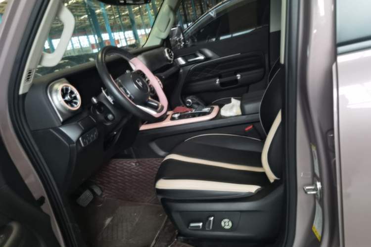 Used Tank 300 2021 City Edition 2.0T—Truly Stylish Left Front Seat