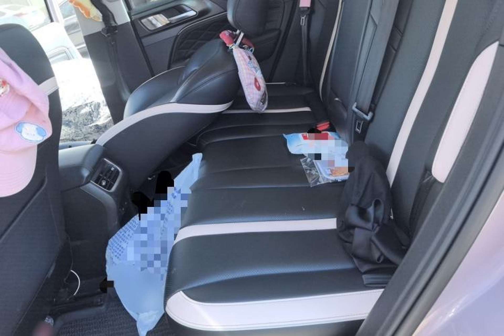 Used Tank 300 2021 City Edition 2.0T—Truly Stylish Left Rear Seat
