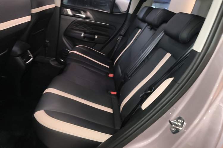 Used Tank 300 2021 City Edition 2.0T—Truly Stylish Left Rear Seat