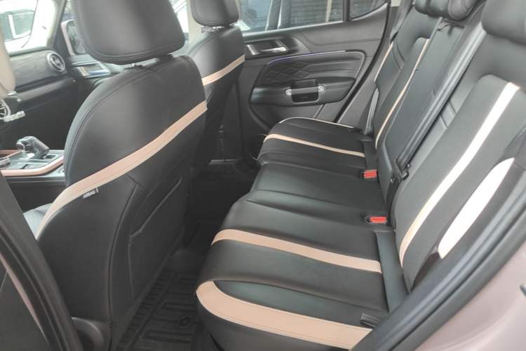 Used Tank 300 2021 City Edition 2.0T—Truly Stylish Left Rear Seat