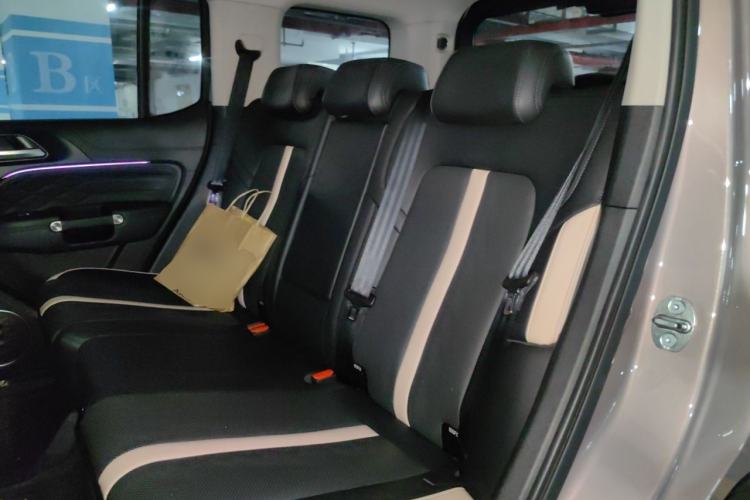 Used Tank 300 2021 City Edition 2.0T—Truly Stylish Left Rear Seat