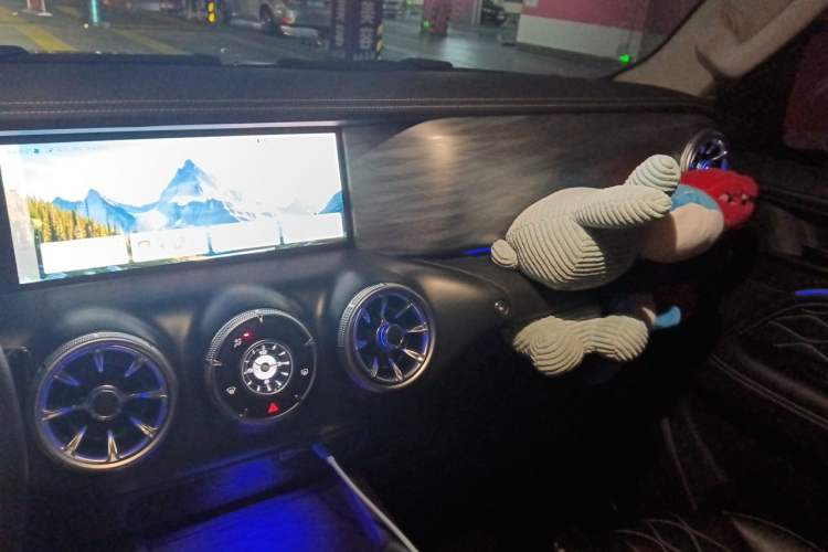 Used Tank 300 2021 Off-Road Edition 2.0T Challenger Audio And AC Panel