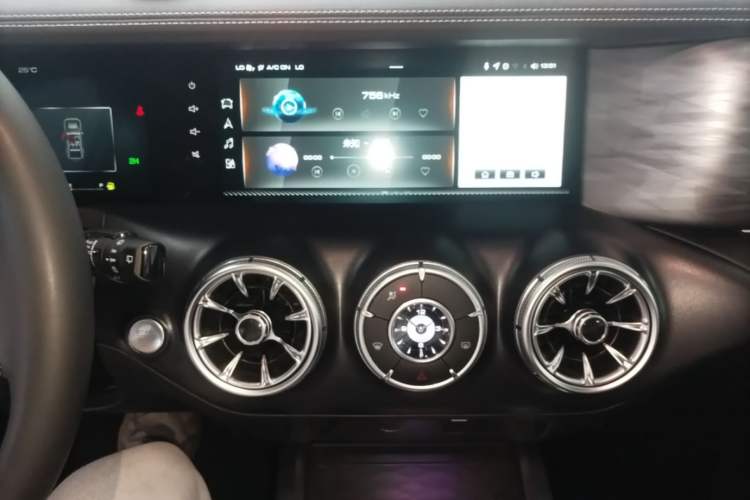Used Tank 300 2021 Off-Road Edition 2.0T Challenger Audio And AC Panel
