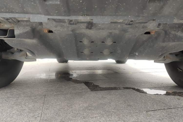 Used Tank 300 2021 City Edition 2.0T—Truly Stylish Chassis Front