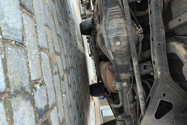 Used Tank 300 2021 Off-Road Edition 2.0T Conqueror Chassis Rear