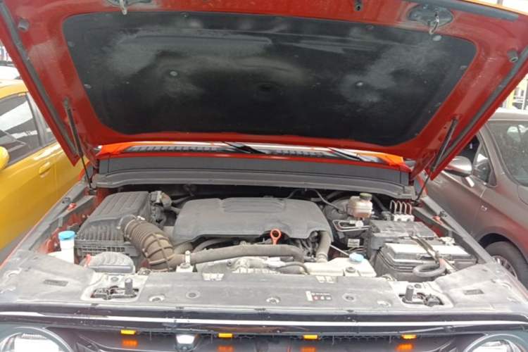 Used Tank 300 2021 Off-Road Edition 2.0T Conqueror Engine Bay