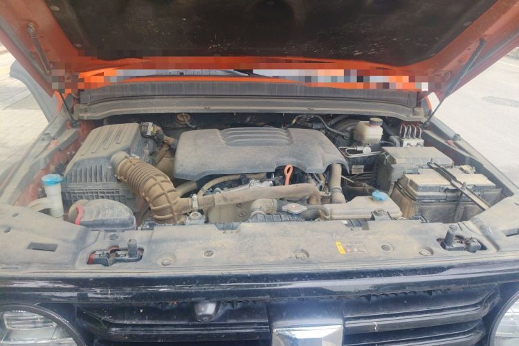 Used Tank 300 2021 Off-Road Edition 2.0T Conqueror Engine Bay
