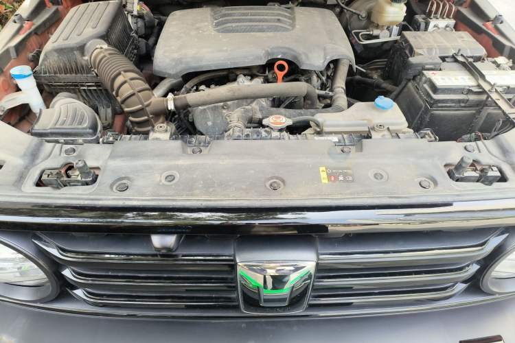 Used Tank 300 2021 Off-Road Edition 2.0T Conqueror Engine Bay