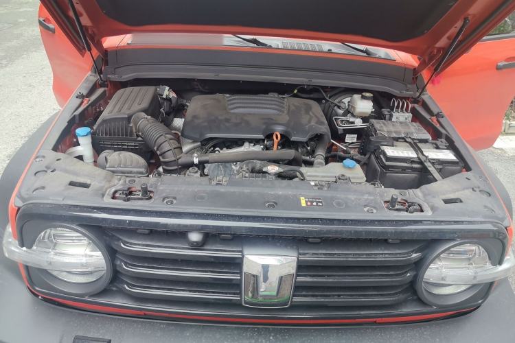 Used Tank 300 2021 Off-Road Edition 2.0T Conqueror Engine Bay