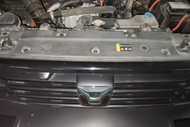 Used Tank 300 2021 Off-Road Edition 2.0T Conqueror Engine Bay