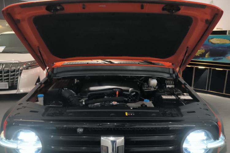 Used Tank 300 2021 Off-Road Edition 2.0T Conqueror Engine Bay