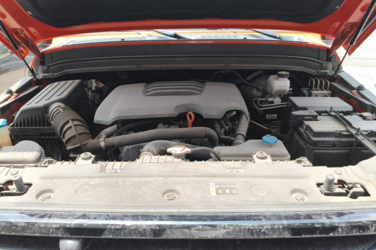 Used Tank 300 2021 Off-Road Edition 2.0T Conqueror Engine Bay