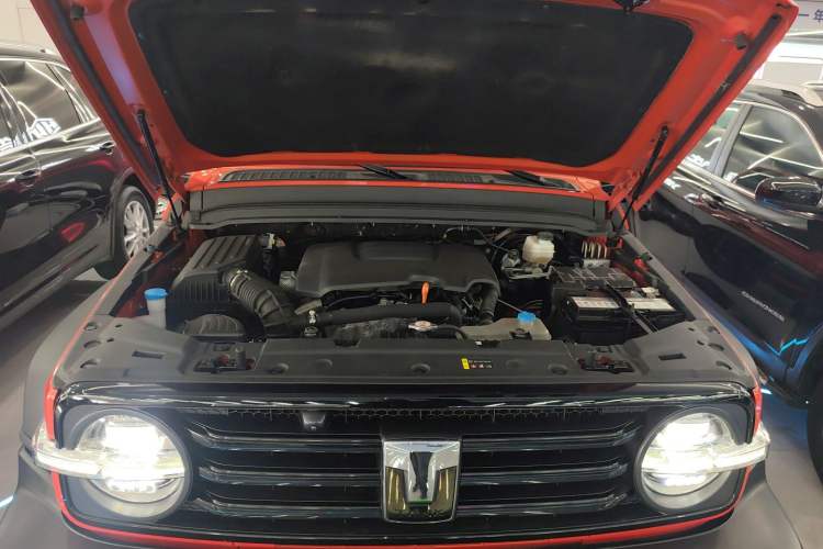 Used Tank 300 2021 Off-Road Edition 2.0T Conqueror Engine Bay