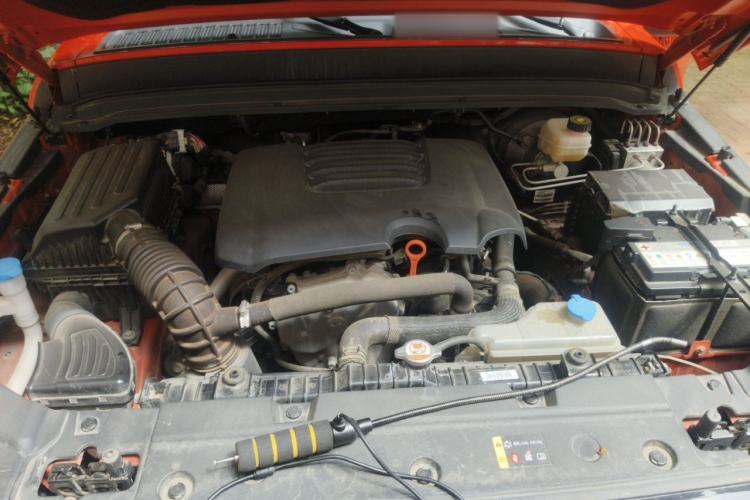 Used Tank 300 2021 Off-Road Edition 2.0T Conqueror Engine Bay