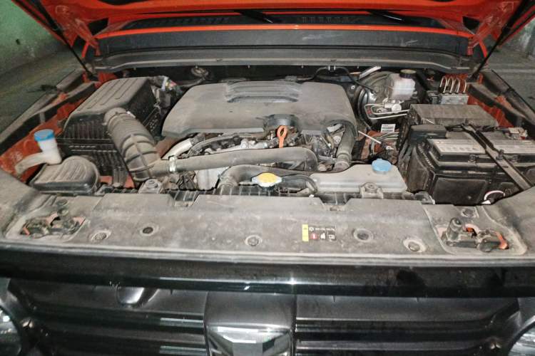 Used Tank 300 2021 Off-Road Edition 2.0T Conqueror Engine Bay