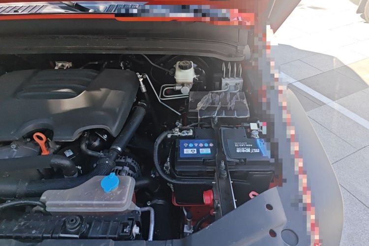 Used Tank 300 2021 Off-Road Edition 2.0T Conqueror Engine Bay Left