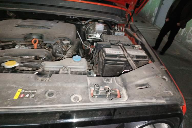 Used Tank 300 2021 Off-Road Edition 2.0T Conqueror Engine Bay Left